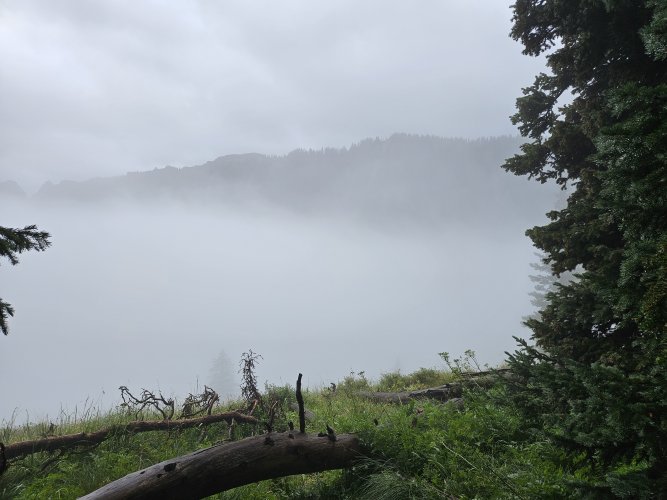 20240811_082310.jpg 20240811_082310.jpg