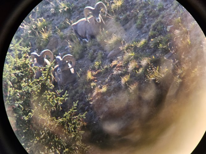 20240904_182645.jpg 20240904_182645.jpg