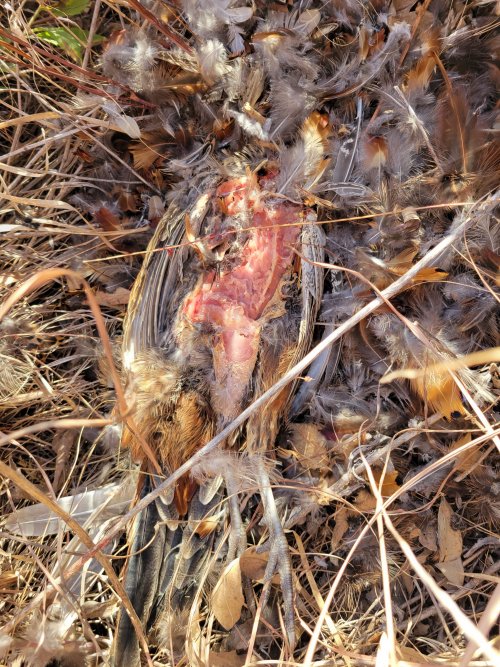 20241027_103402.jpg 20241027_103402.jpg