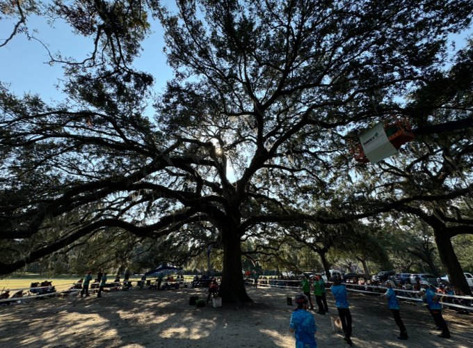 IMG_4992.jpeg IMG_4992.jpeg