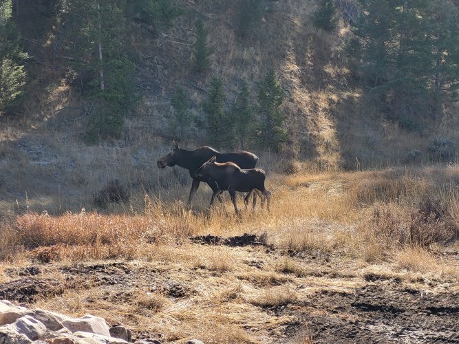 20241025_131224.jpg 20241025_131224.jpg