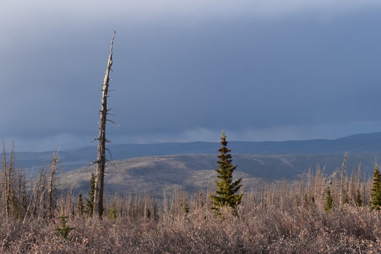 DSC_0131.JPG DSC_0131.JPG