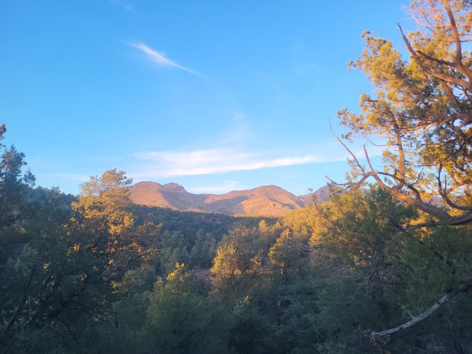 20241024_181954.jpg 20241024_181954.jpg