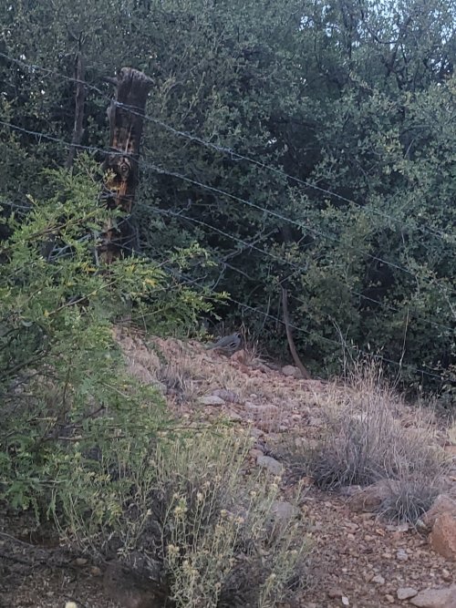 20241028_183534.jpg 20241028_183534.jpg