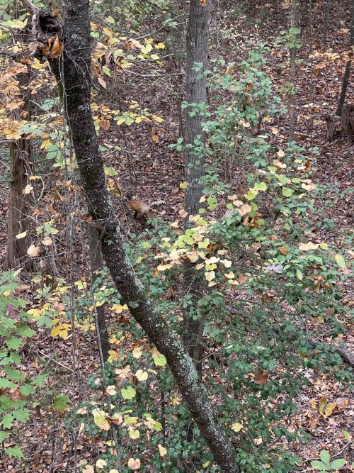IMG_8155.jpeg IMG_8155.jpeg