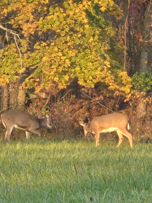 20241030_080157.jpg 20241030_080157.jpg