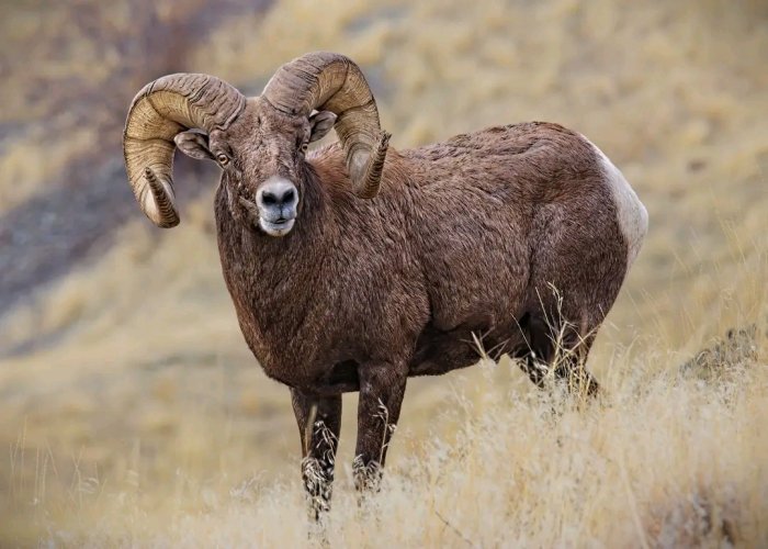 1730601982981.jpg 1730601982981.jpg