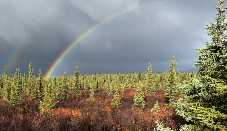 Rainbow.png Rainbow.png