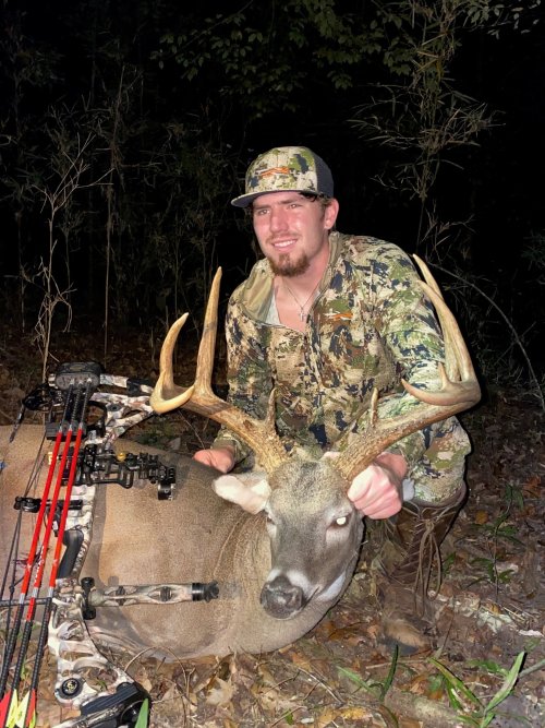 Deer in Woods.jpg