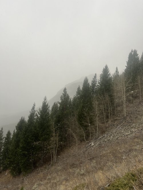 IMG_0339.jpeg IMG_0339.jpeg