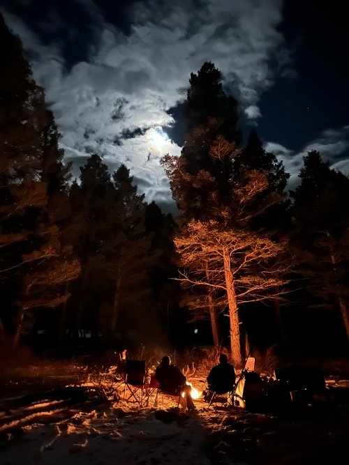 elk camp 2024.jpg elk camp 2024.jpg