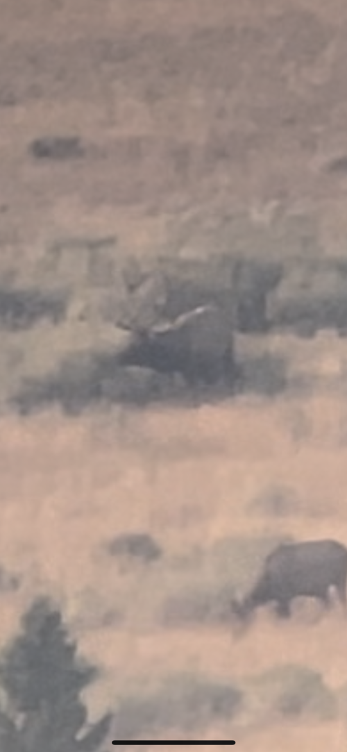1731606262458.png 1731606262458.png