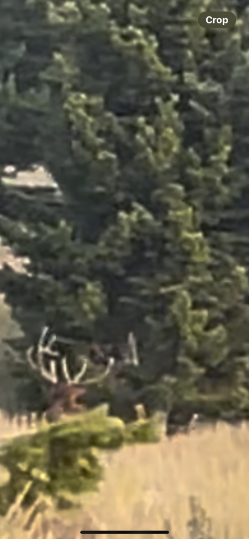 1731606487692.png 1731606487692.png