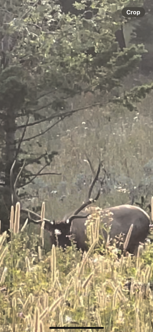 1731606559487.png 1731606559487.png