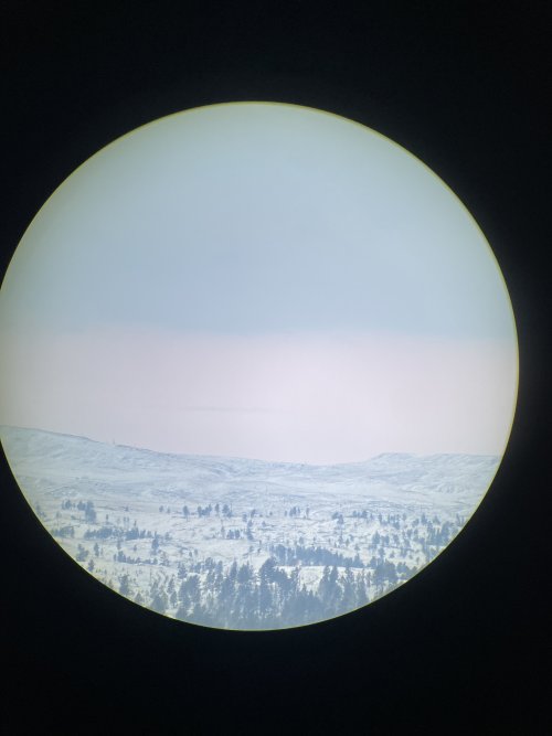 1731689241622.jpeg 1731689241622.jpeg