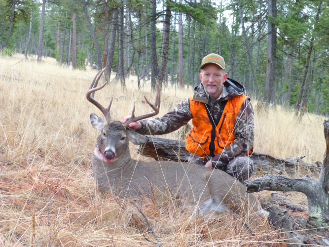 2024 WT Buck.JPG 2024 WT Buck.JPG