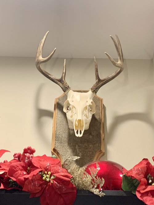 IMG_8518.jpeg IMG_8518.jpeg