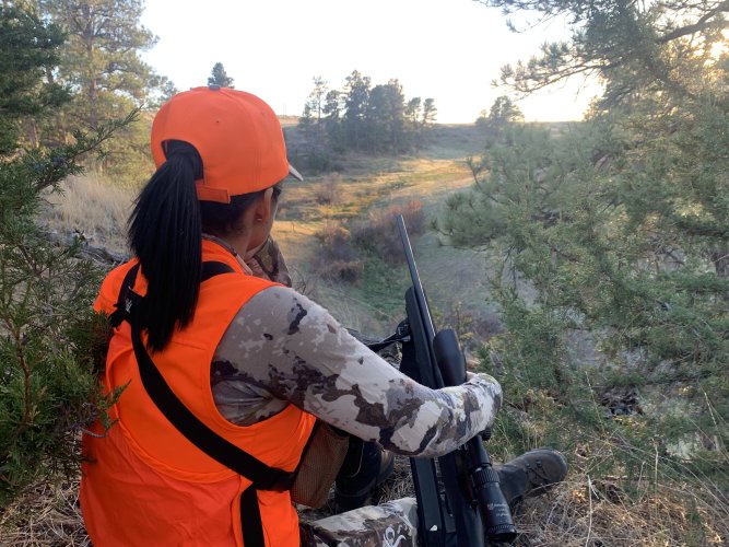 IMG_8426.jpeg IMG_8426.jpeg