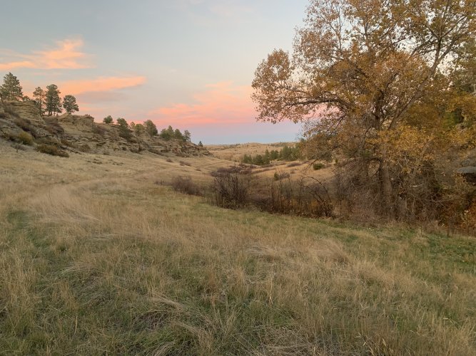 IMG_8427.jpeg IMG_8427.jpeg