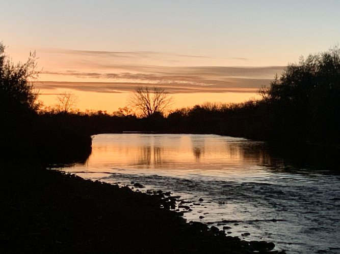 IMG_8432.jpeg IMG_8432.jpeg