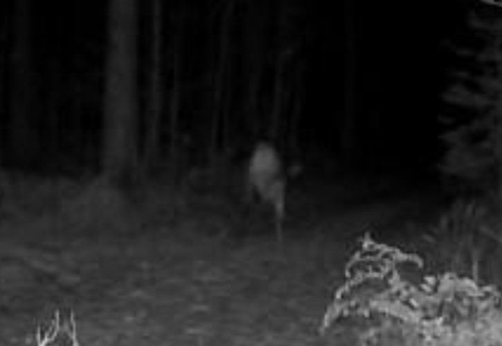 IMG_5867.jpeg IMG_5867.jpeg