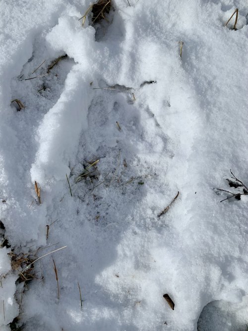 IMG_8444.jpeg IMG_8444.jpeg