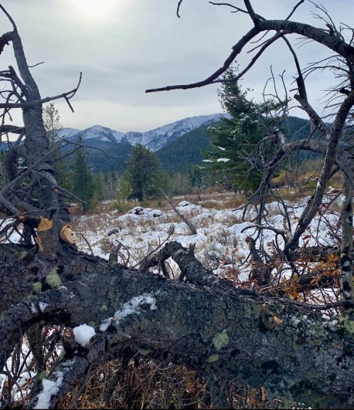 IMG_8471.jpeg IMG_8471.jpeg