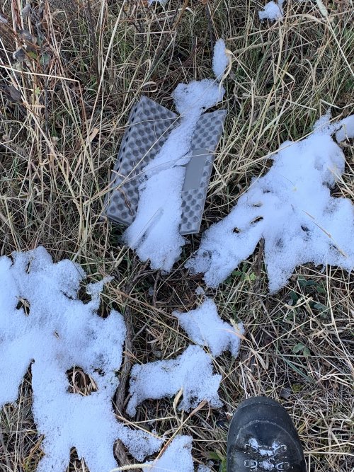 IMG_8456.jpeg IMG_8456.jpeg