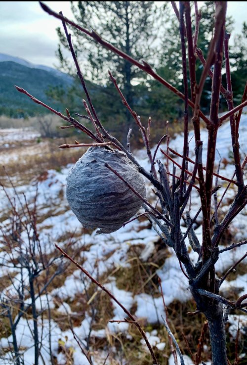 IMG_8473.jpeg IMG_8473.jpeg