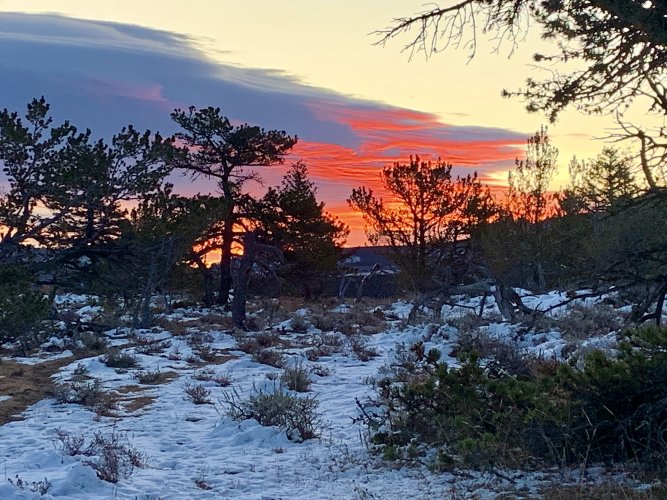 IMG_8460.jpeg IMG_8460.jpeg