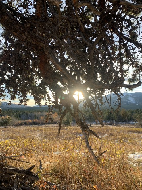 IMG_8465.jpeg IMG_8465.jpeg