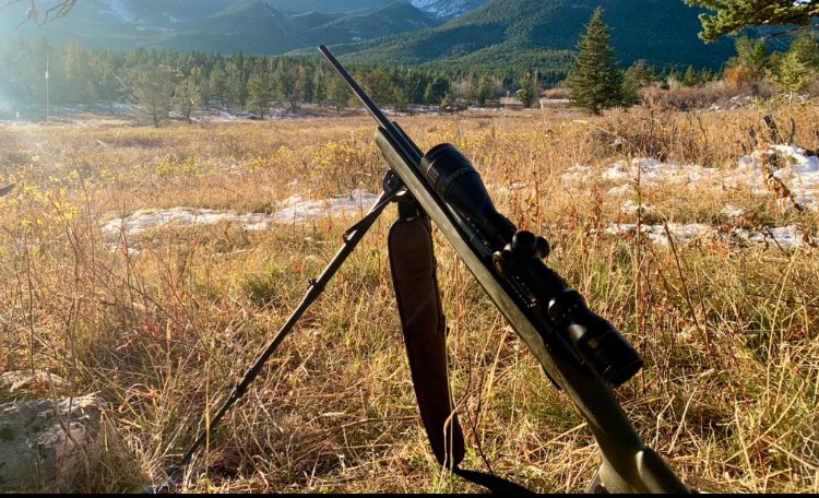 IMG_8517.jpeg IMG_8517.jpeg