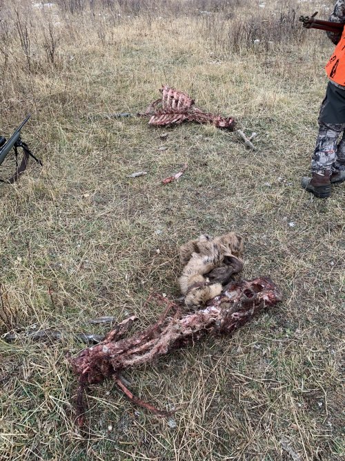 IMG_8512.jpeg IMG_8512.jpeg