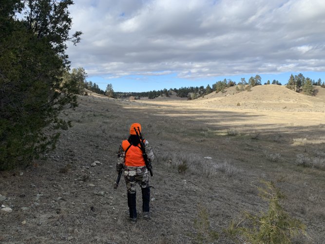 IMG_8523.jpeg IMG_8523.jpeg