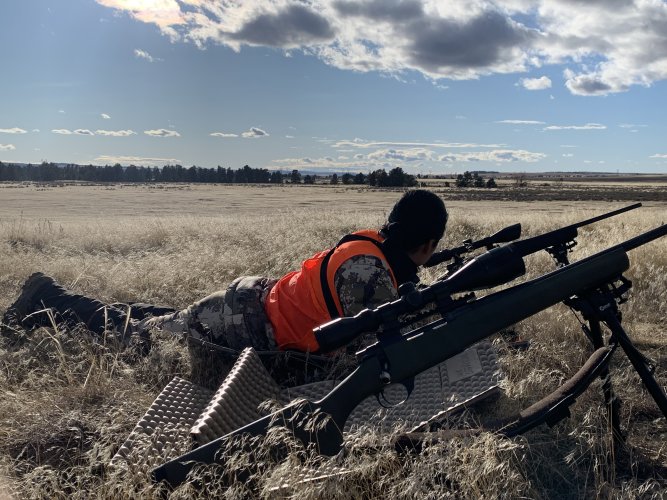 IMG_8525.jpeg IMG_8525.jpeg