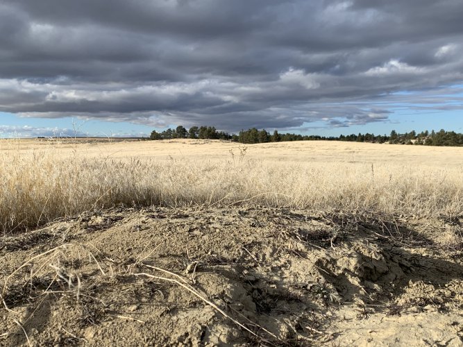 IMG_8524.jpeg IMG_8524.jpeg