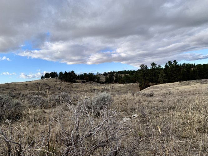 IMG_8526.jpeg IMG_8526.jpeg