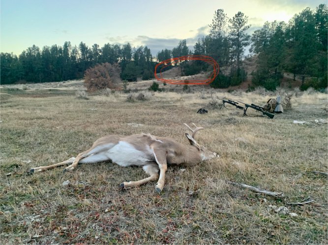 IMG_8532.jpeg IMG_8532.jpeg