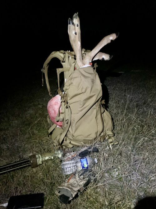 IMG_8539.jpeg IMG_8539.jpeg