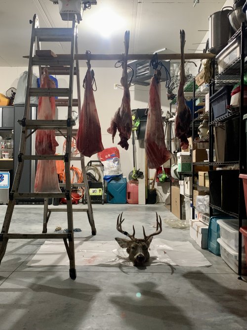 IMG_8542.jpeg IMG_8542.jpeg