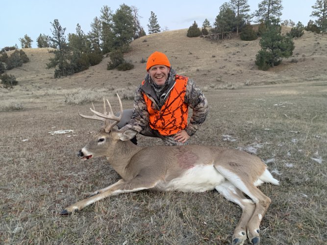 IMG_8533.jpeg IMG_8533.jpeg