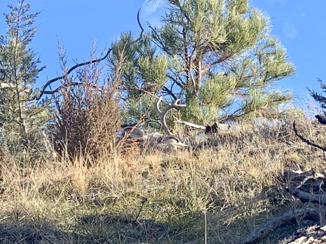 IMG_8599.jpeg IMG_8599.jpeg