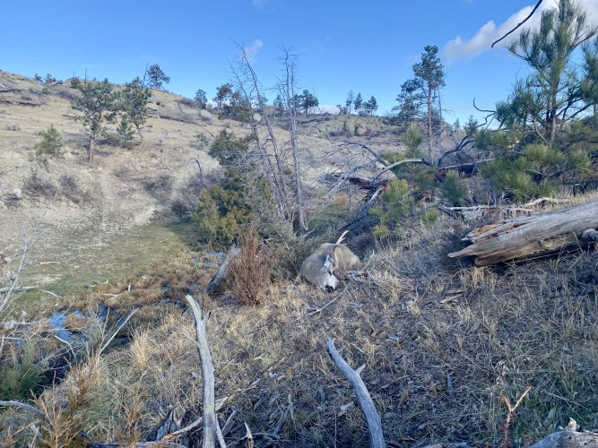 IMG_8600.jpeg IMG_8600.jpeg