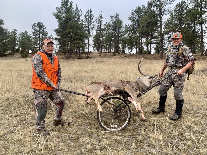 IMG_8580.jpeg IMG_8580.jpeg