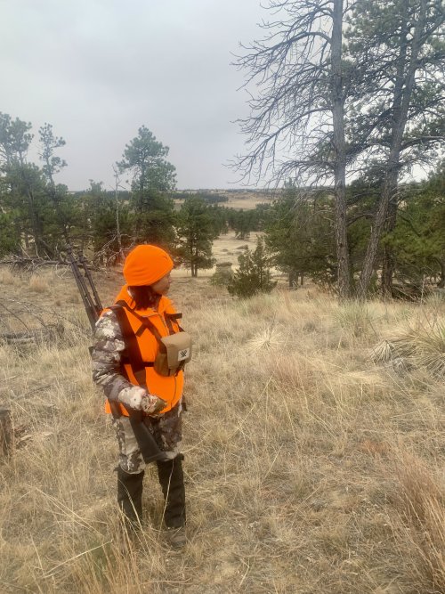 IMG_8585.jpeg IMG_8585.jpeg