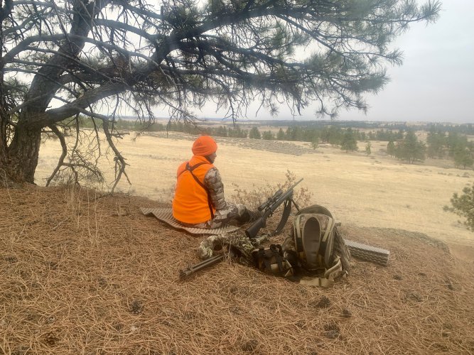 IMG_8589.jpeg IMG_8589.jpeg