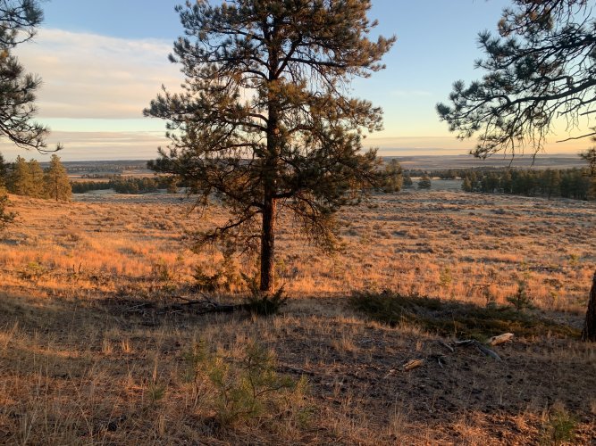 IMG_8598.jpeg IMG_8598.jpeg