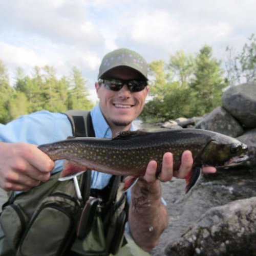 Big Brookie.jpg Big Brookie.jpg