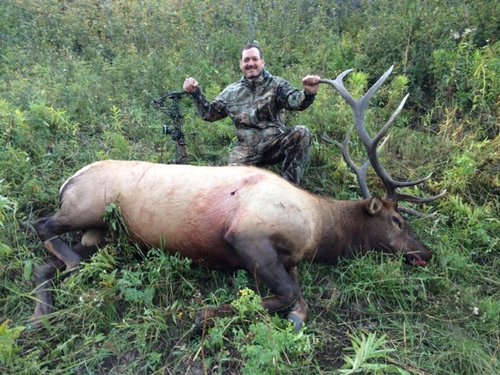 elk2014a.JPG