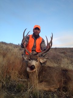 Utah Mule Deer.JPG